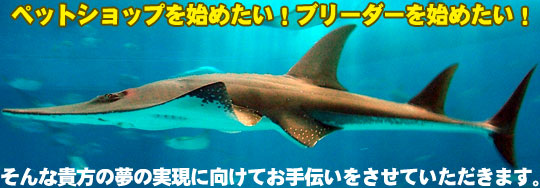 �����戵��